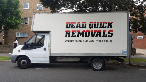 Dead Quick Removals