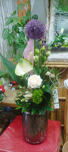 Blumen Polcher Gallery - Netherlands