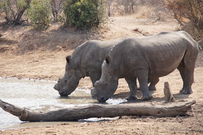 Photos of Tshukudu Game Lodge