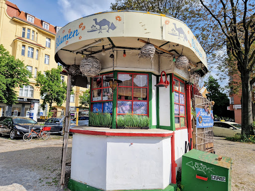 Fiori Belli - Visual