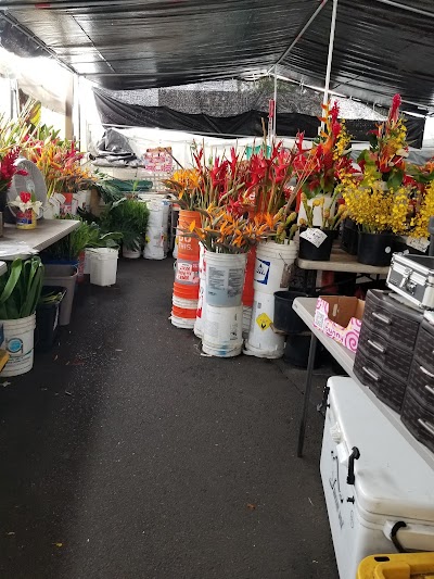 Kona International Market