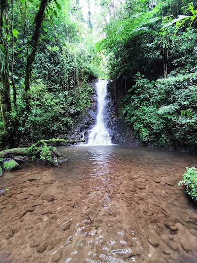 Cascada del Jabalí Gallery - Mexico