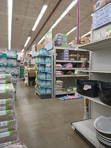 Pet Club Hayward - Thumbnail