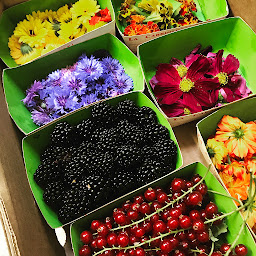 Photo n°65 de Les 3 Chemins à Saint-Aignan (Restaurant végétalien)