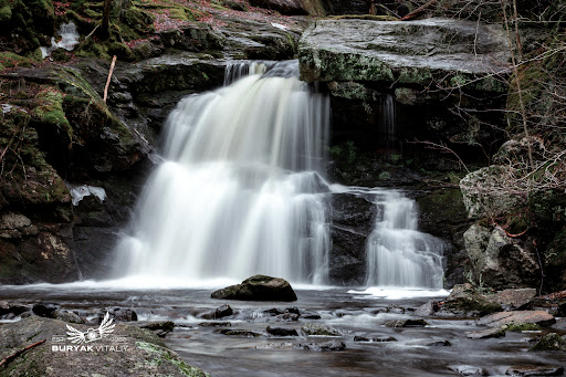 Enders State Forest - Thumbnail