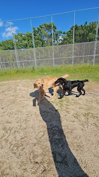 エレナドッグスクール