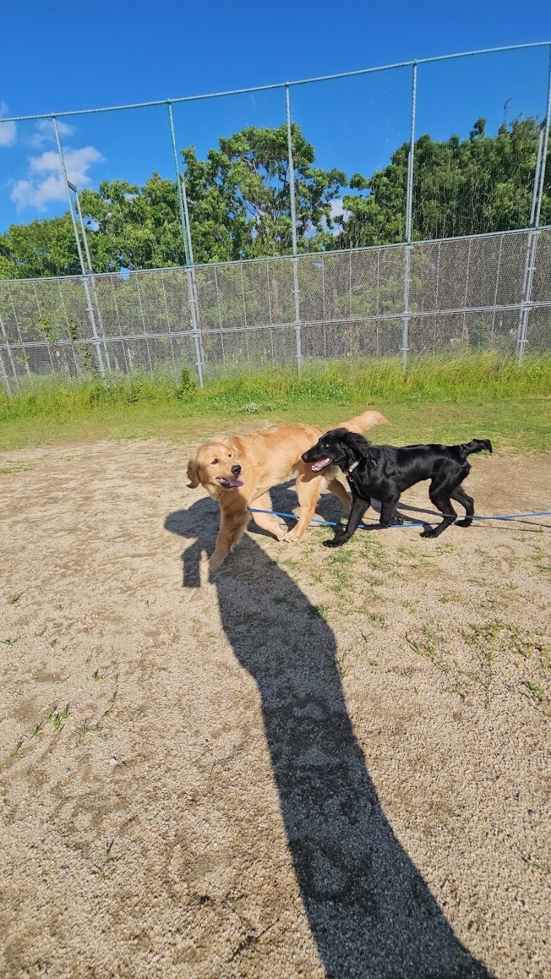 エレナドッグスクール