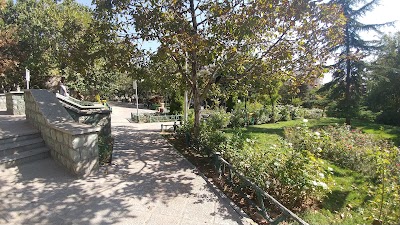 Photos of Ararat Park