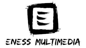 Photo n°2 de Eness Multimedia à Marbache (Service de réparation d'ordinateurs)