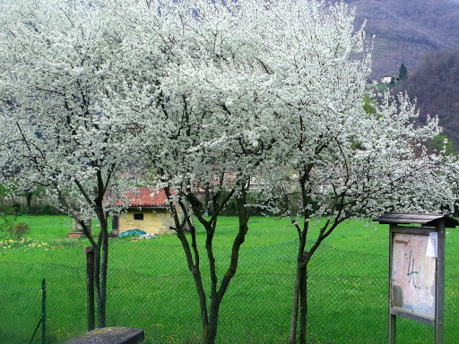 Comune di Villa Carcina - Thumbnail