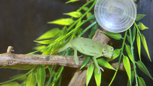 Inland Reef Pet Store - Thumbnail