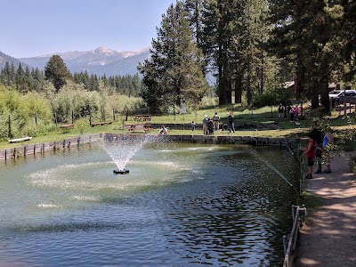 Tahoe Trout Farm