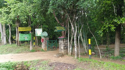 Photos of Popham's Arboretum