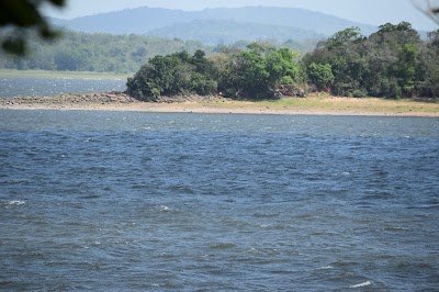 Photos of Minneriya Lake