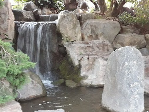 Japanese Garden, Author: Gustavo Manzanarez