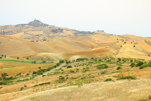 Strada provinciale - Visual