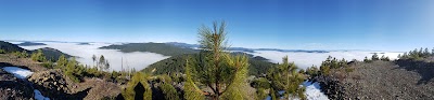 Courgar lookout