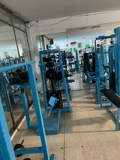 GYM BLANSER - Thumbnail