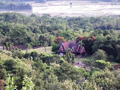 Photos of Botanical Pucak