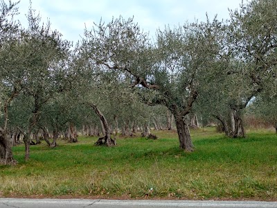 Photos of Comune Di Montegridolfo