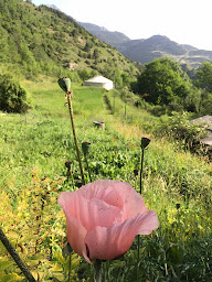 Photo n°3 de Centre Nalanda - Cures ayurvédiques (Massif des écrins - Hautes-Alpes/05) - Stages de Yoga et d’Ayurvéda à L'Argentière-la-Bessée (Centre de bien-être)