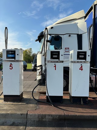 AS 24