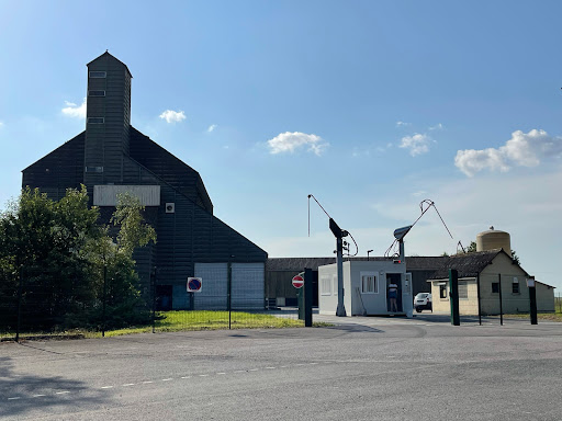 Photo de Calipso à Ailly-le-Haut-Clocher (80690)