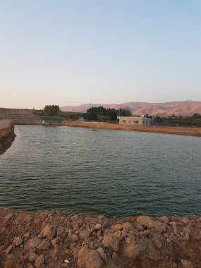 Holy Land Fish Farm, Author: Farhan AL NABER