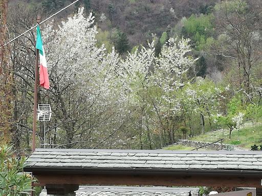 Fenix Italia S.R.L. - Thumbnail