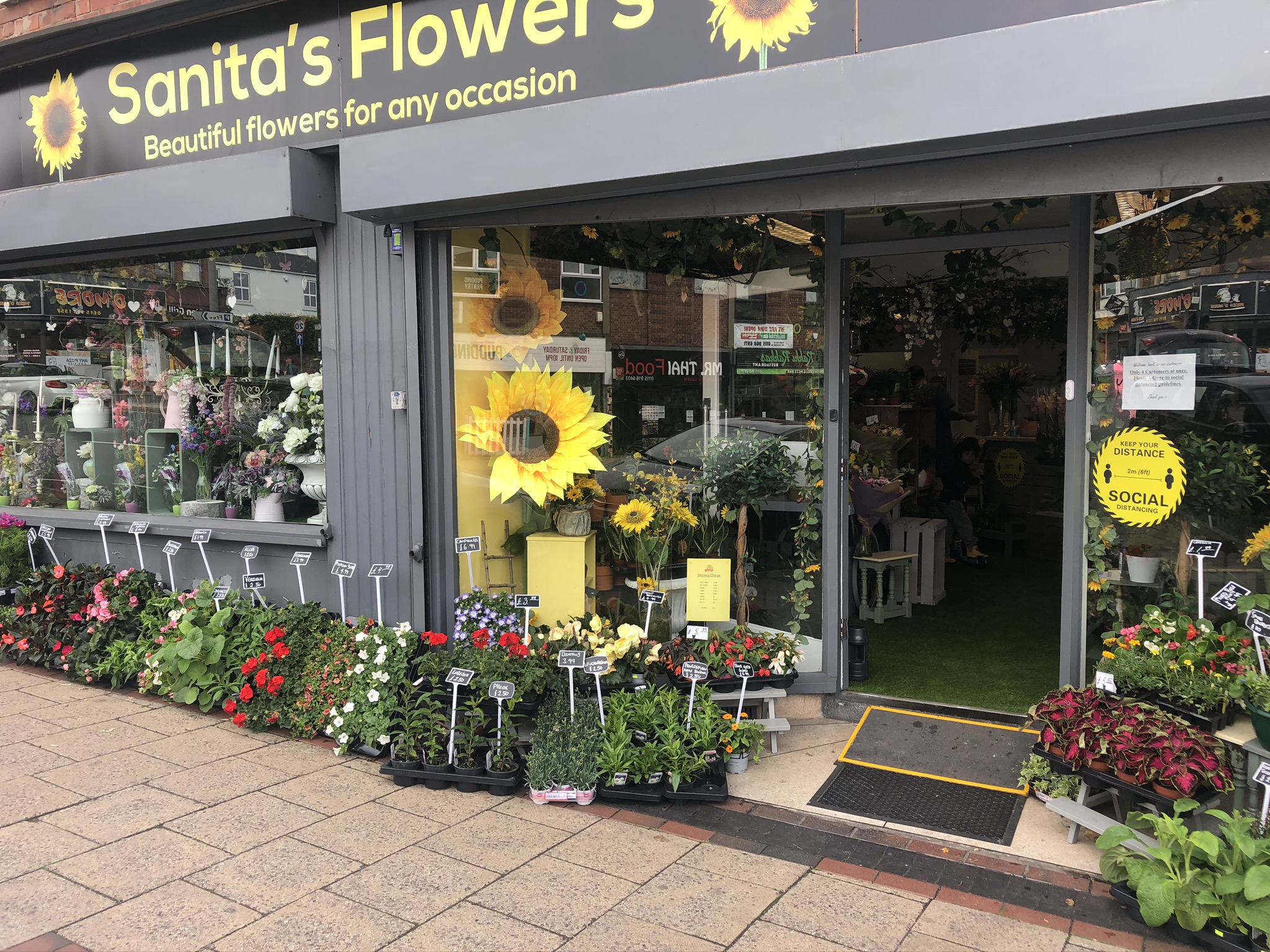 Sanita's Flowers - Florists - photo 1