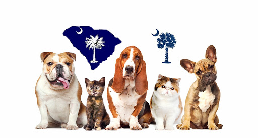 Palmetto Pet Insurance