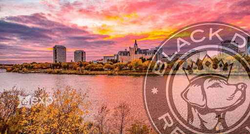 Saskatoon REALTORS | Black Dog Republic | Homes For Sale | Brokered by eXp Realty