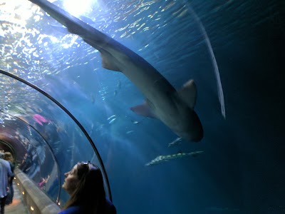 Oregon Coast Aquarium