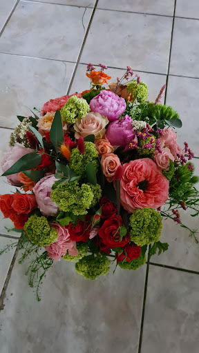 ROSES et botanique - Thumbnail