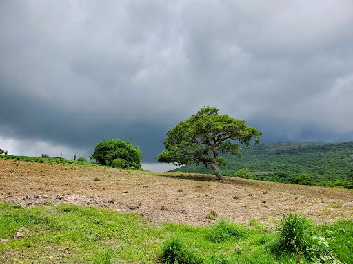 Presa del Pozo - Thumbnail