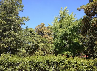 Photos of Residence Corte della Vittoria