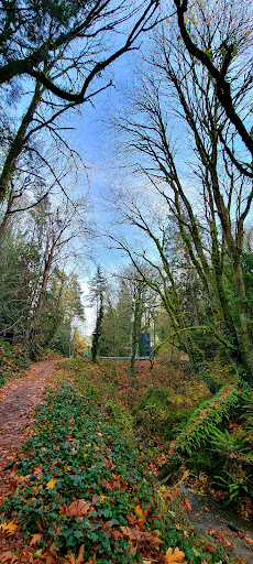 Engstrom Open Space Parking - Thumbnail