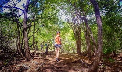 Photos of Komodo National Park Office
