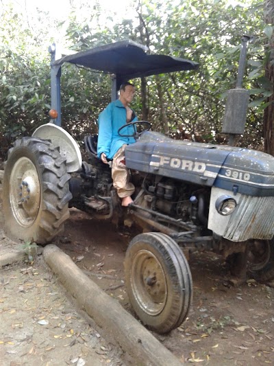 Photos of Kande Ela Educational Forest Park