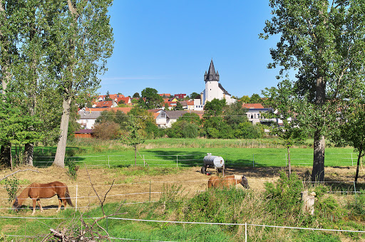 Kath. Kirche St. Gallus - Thumbnail