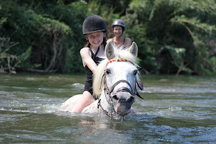 Photo n°1 de Rando et Chariot à Palau-del-Vidre (Centre de randonnée équestre)