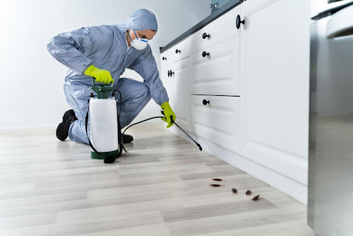 Safeguard Pest Exterminators LLP - Pest Control Kolkata post image