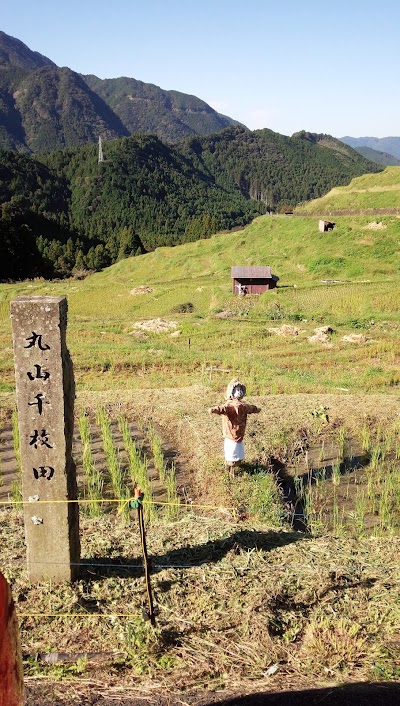 Photos of 丸山千枚田 大石