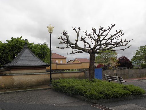 Photo de Résidence La Clairière à Saint-Lager (69220)