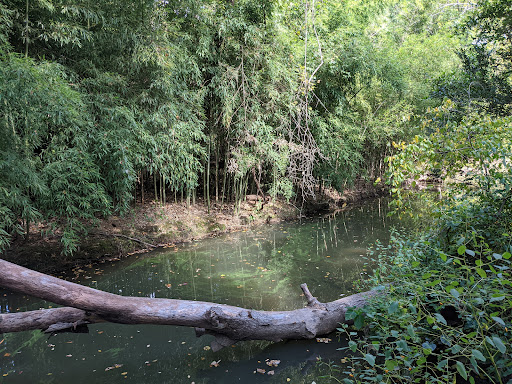 Greensboro Botanical Gardens - Thumbnail
