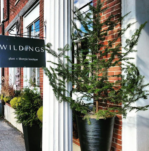 Wildings - Visual