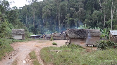 Photos of Anjanaharibe-Sud Reserve