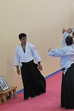 Aikido (ISTA) Rishon LeZion, Author: Michael H