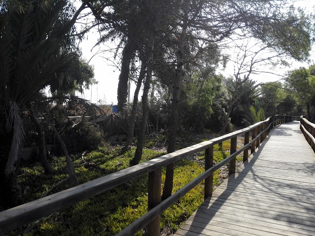 puerto de guardamar
