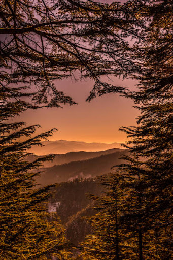 Booking @ Him Gaurav Travels post image